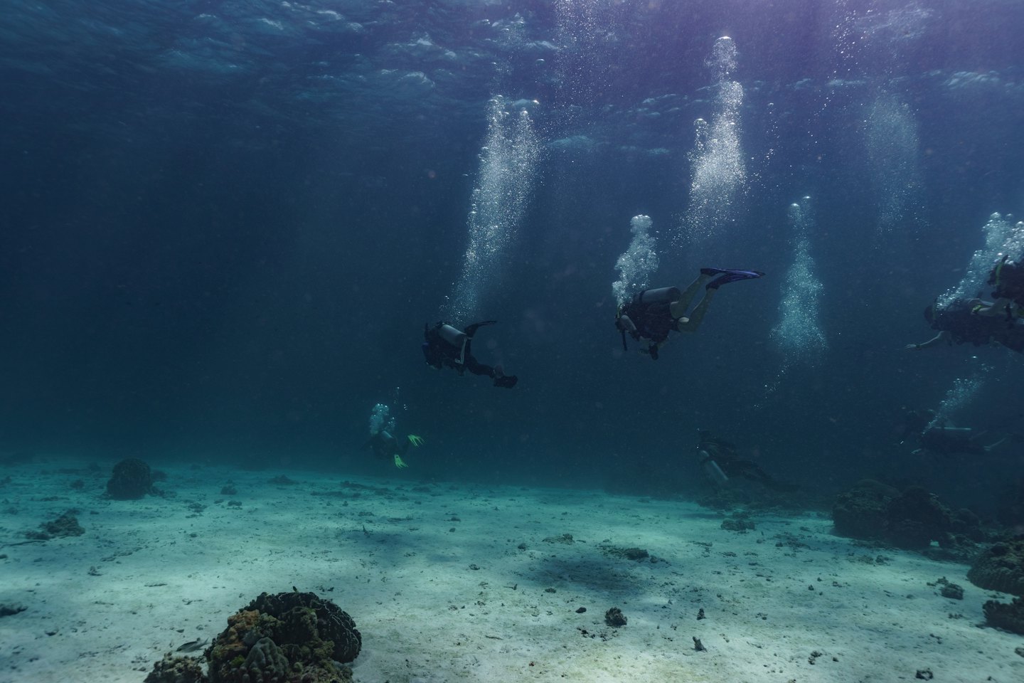 Penyelam scuba berenang di dekat formasi karang di dasar laut.