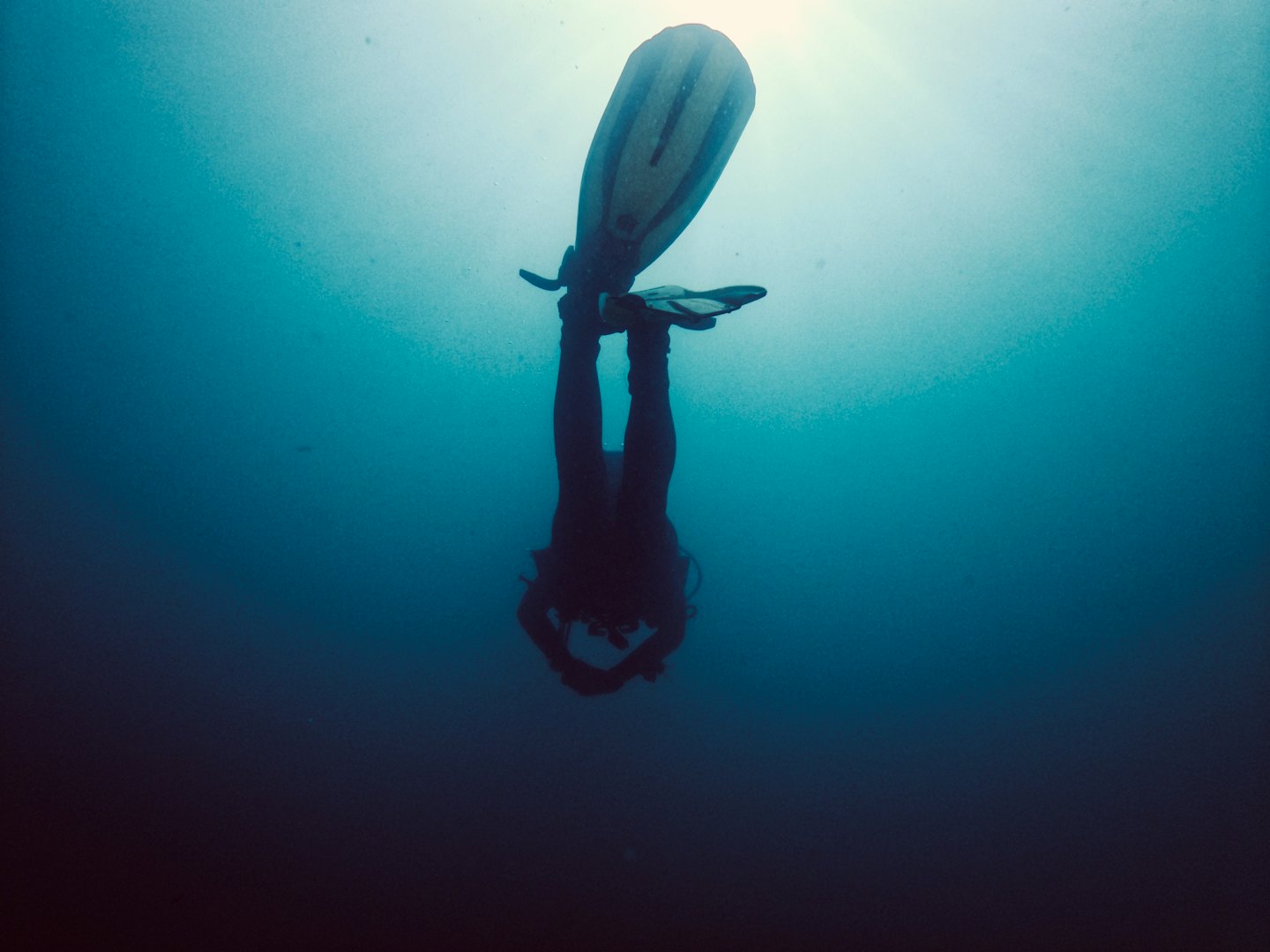 Seorang penyelam scuba turun ke laut biru yang dalam.